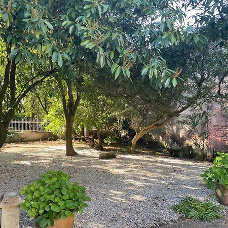 Annexe Du Pont De La Charente Διαμέρισμα Châteauneuf-sur-Charente Εξωτερικό φωτογραφία