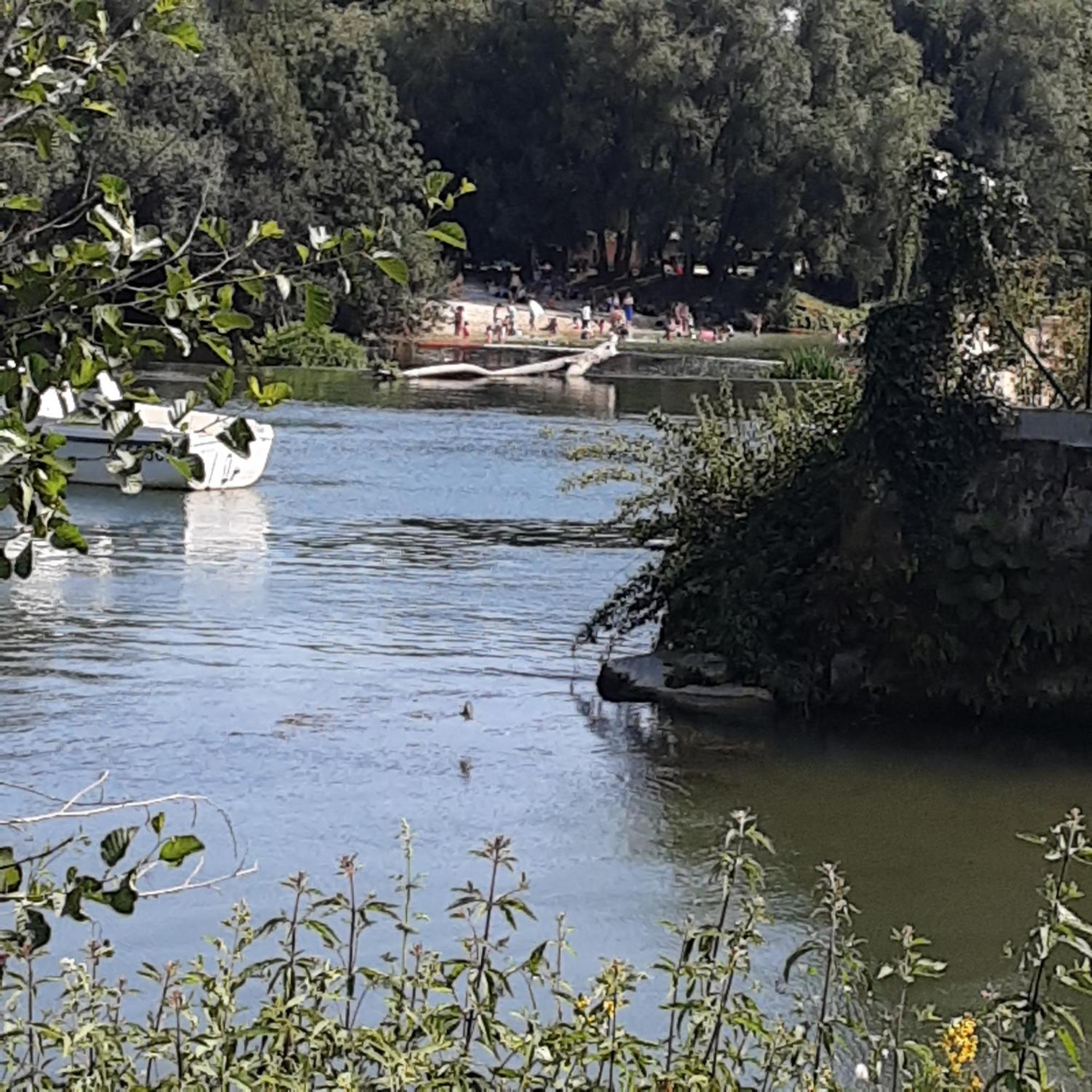 Annexe Du Pont De La Charente Διαμέρισμα Châteauneuf-sur-Charente Εξωτερικό φωτογραφία