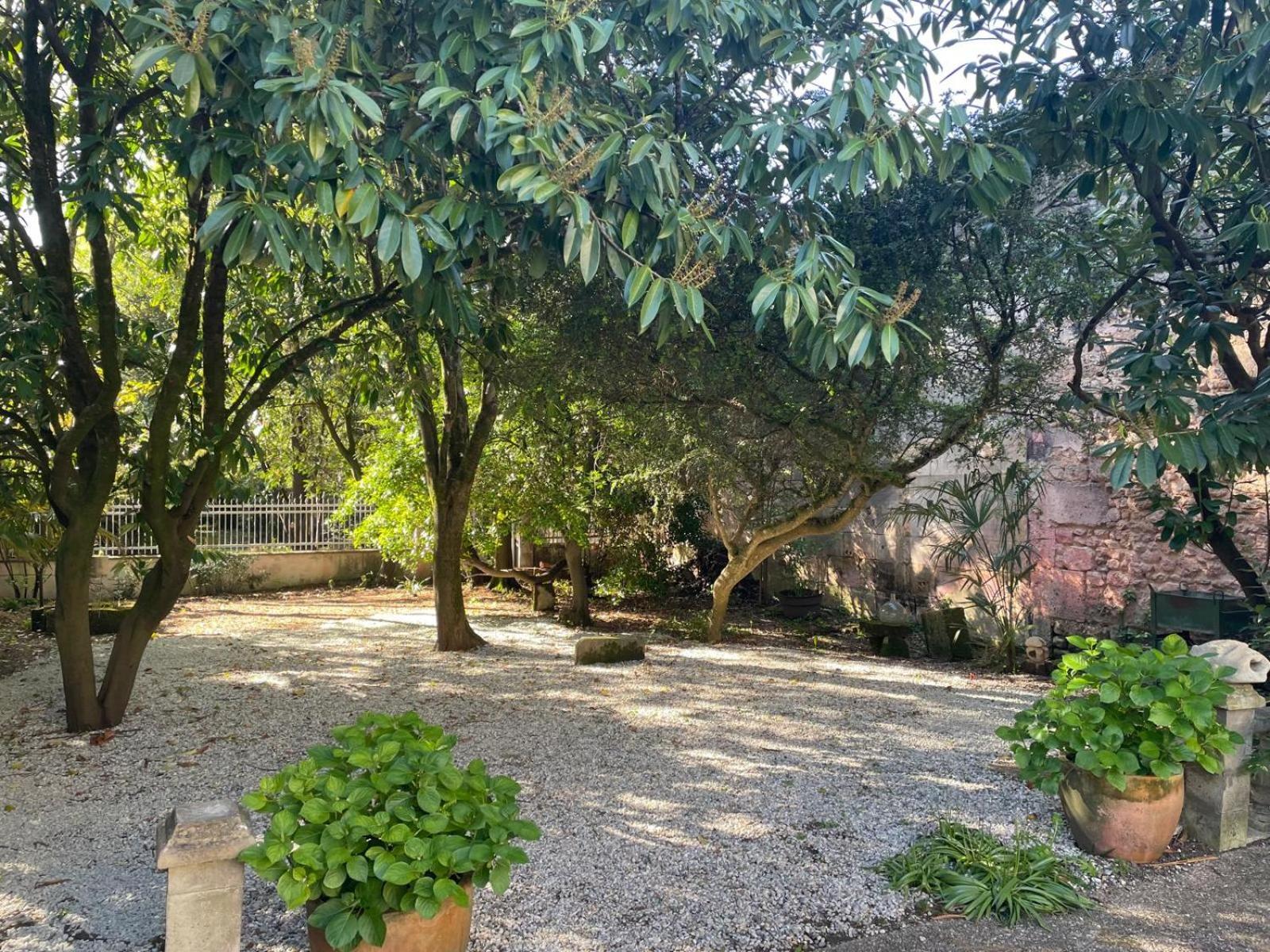 Annexe Du Pont De La Charente Διαμέρισμα Châteauneuf-sur-Charente Εξωτερικό φωτογραφία