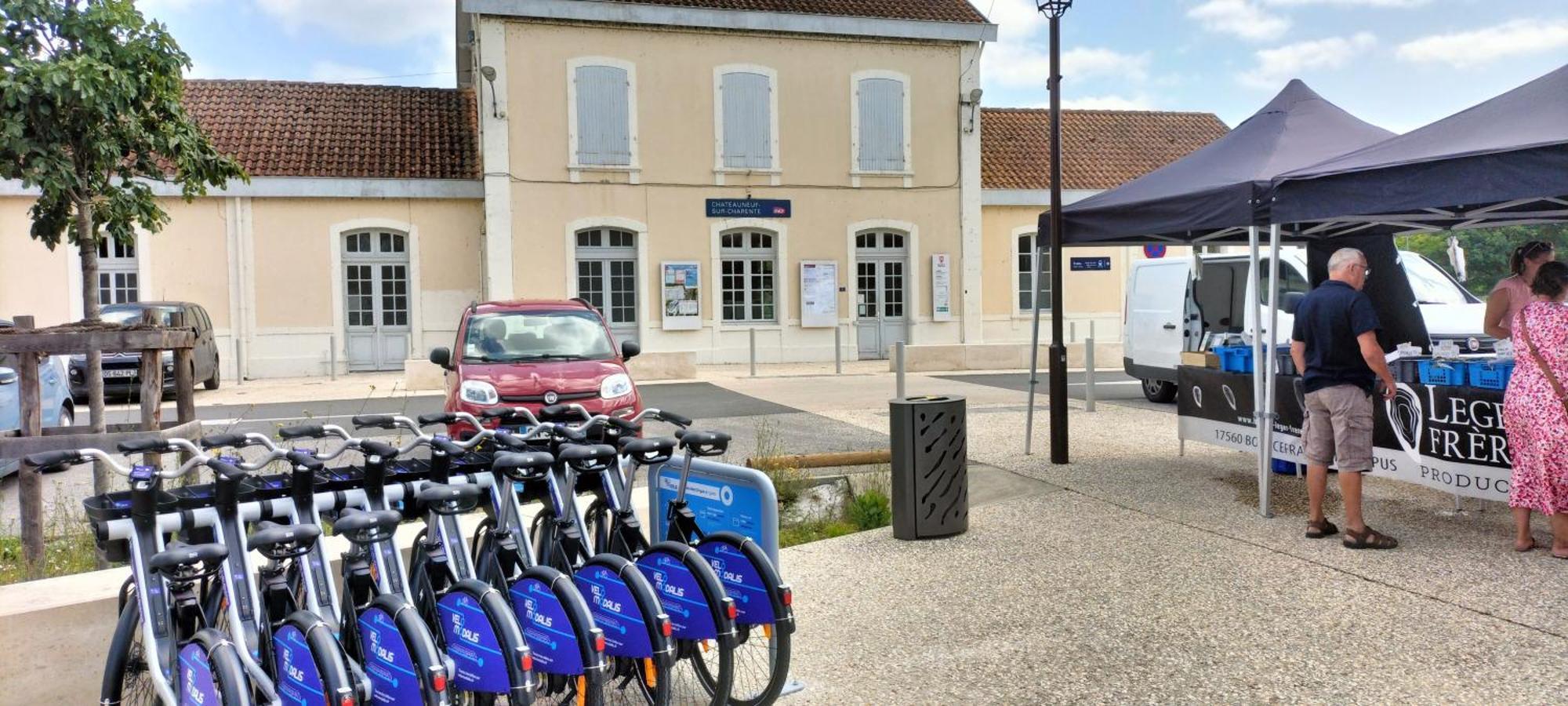 Annexe Du Pont De La Charente Διαμέρισμα Châteauneuf-sur-Charente Εξωτερικό φωτογραφία